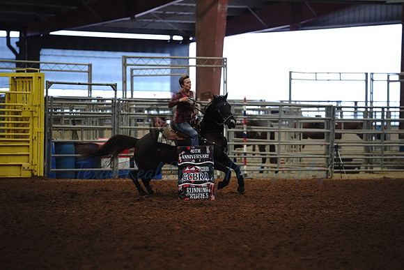 GCB06166