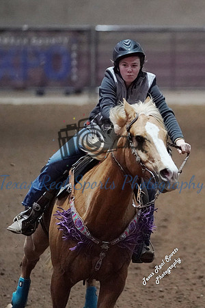 DSC02235 (1)
