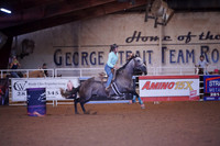 GFR00015