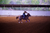 TRS00011