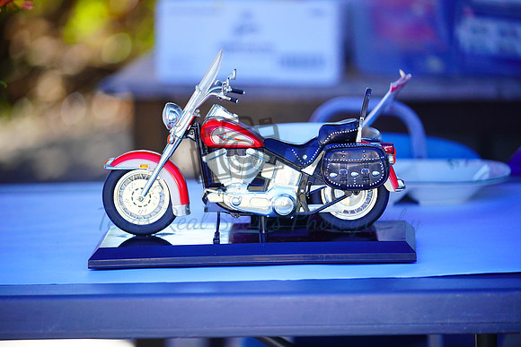 TRS00020