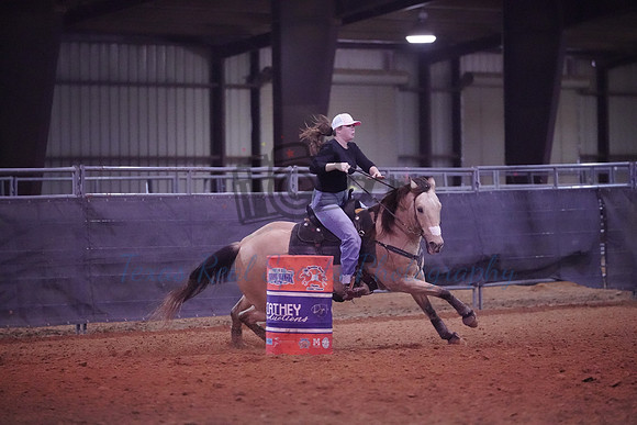 TRS00015
