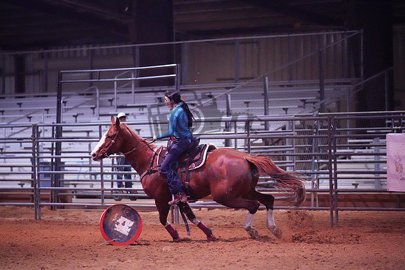 TRS00010