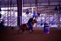 TRS00007