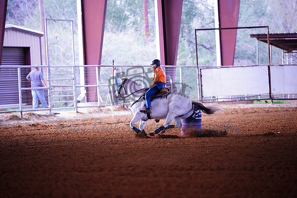 TRS00007