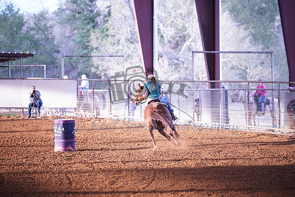 TRS00022