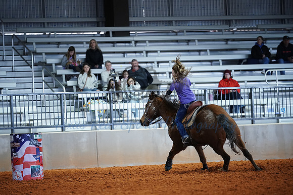 TRS00017