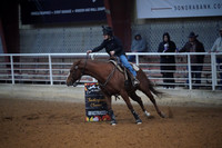 TRS00011