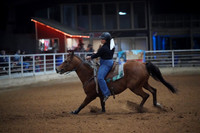 TRS00017