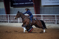 TRS00009