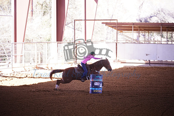 TRS00012