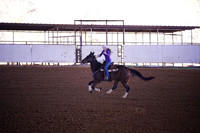 TRS00017