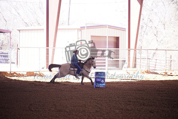 TRS00011