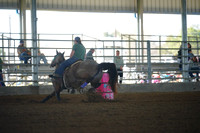 TRS00006