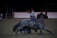 TRS00008