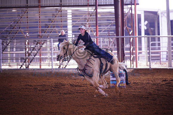 TRS00020