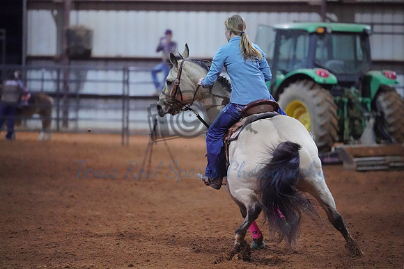 TRS00017