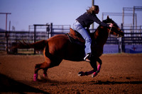 TRS00015
