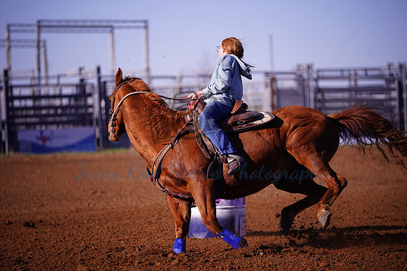 TRS00006