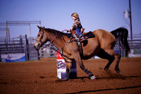 TRS00008