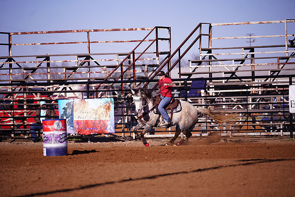 TRS00013