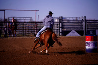 TRS00011