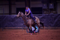 TRS00017