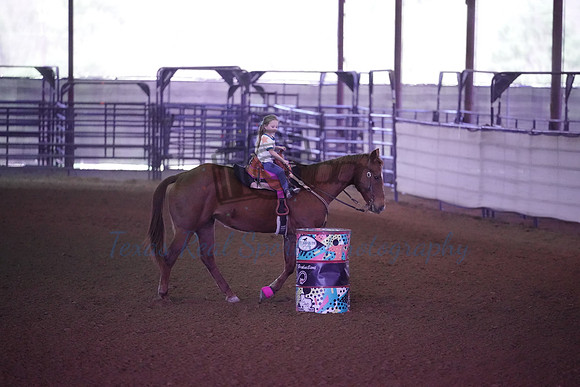 TRS00006