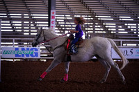 TRS00019