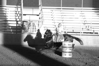 DSC00015 (2)