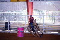 TRS00011