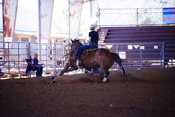 TRS00004