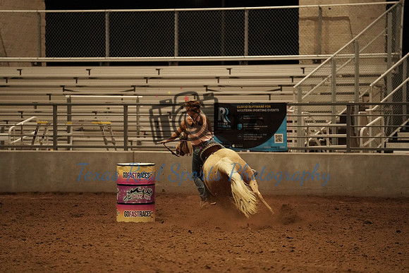 DSC00013