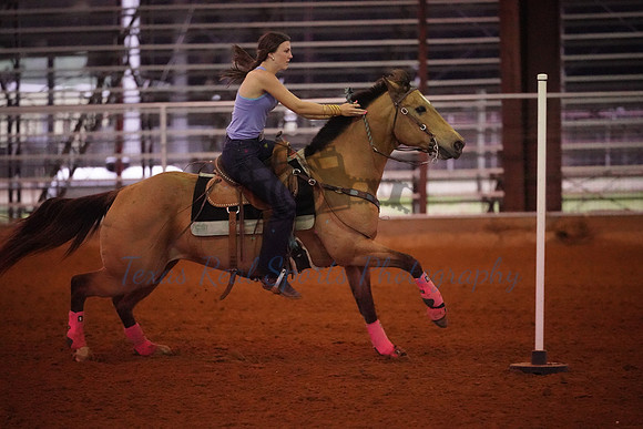 TRS00013