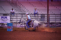 TRS00013