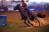 TRS00011