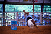 CBP 06.06.2026 Crockett, Tx  - 8