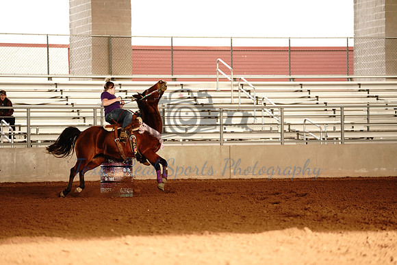 GCB04663