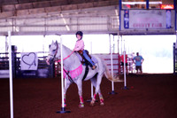 TRS00003