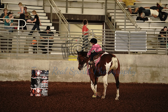GCB00013