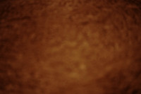 GCB00020
