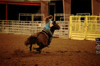 GCBRA Edna, Tx 02.25-02.26-2023 - sat 211