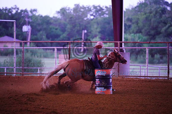 TRS01493