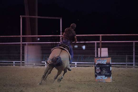 TRS03179