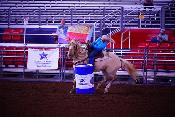 TRS08528