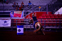 Rogue Outlaw 07.11.2026 Rosenberg, Tx - 153