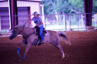 TRS03163
