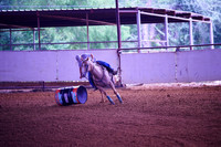 TRS03152