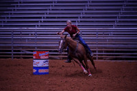 TRS09463