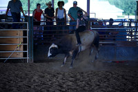 TRS00036